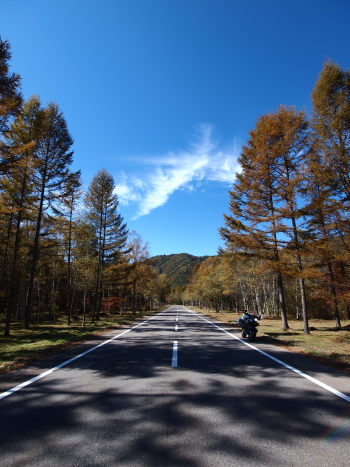 f0103688_21535425.jpg