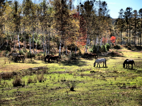f0103688_2157469.jpg