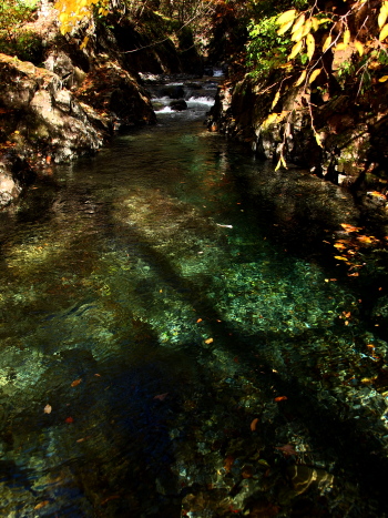 f0103688_22114475.jpg