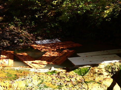 f0103688_2275453.jpg