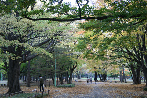 f0127388_21402394.jpg