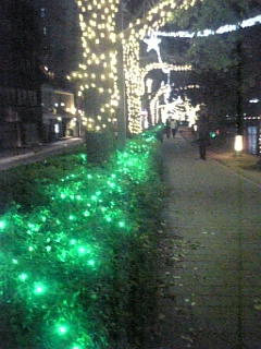e0100589_1151222.jpg