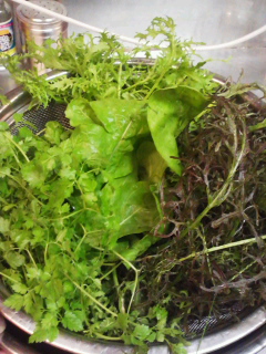 f0085291_20111110.jpg