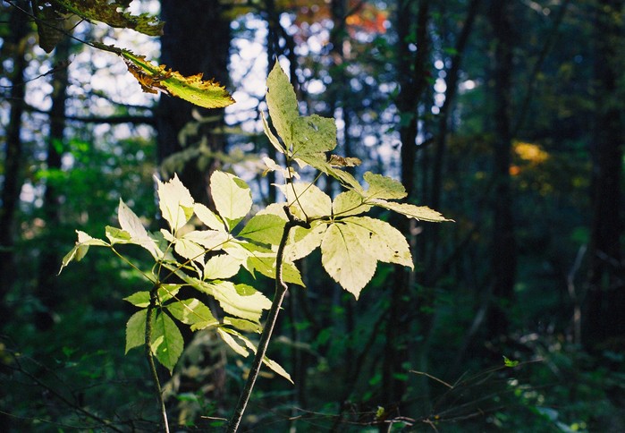 f0220698_2156197.jpg
