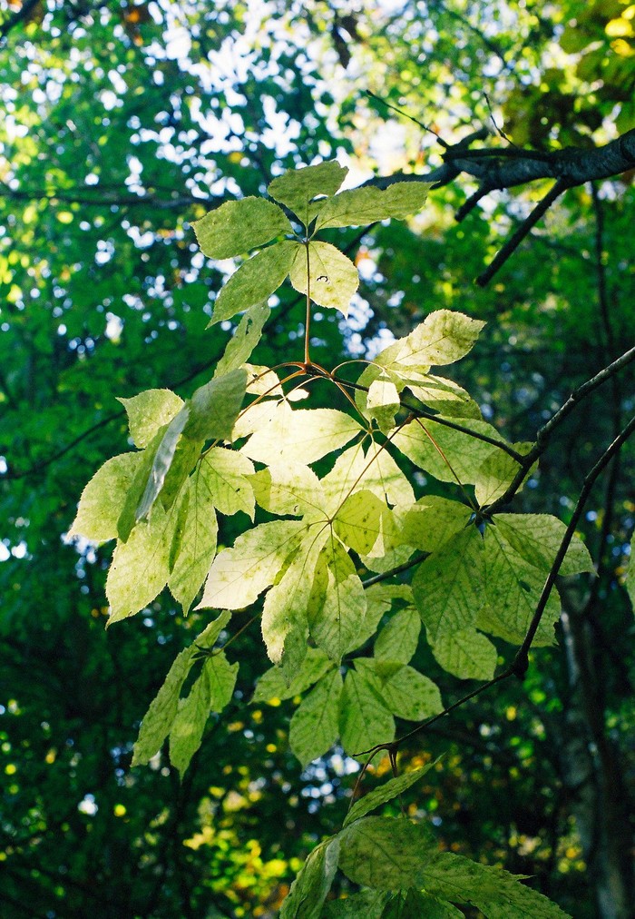 f0220698_2214150.jpg