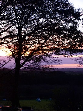 b0110999_1784553.jpg