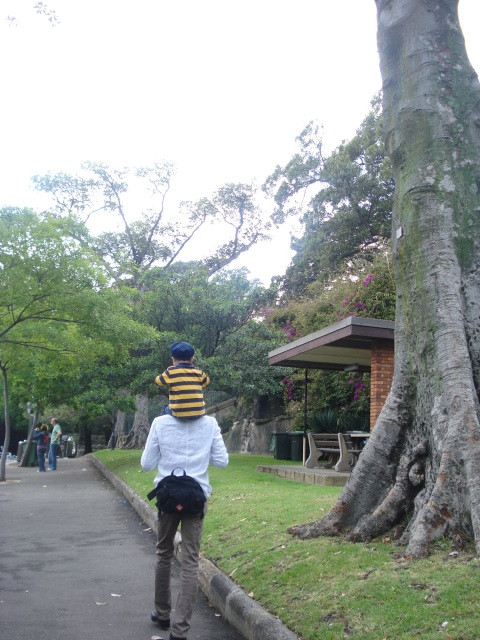e0006999_12502891.jpg