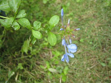 e0033301_15432066.jpg