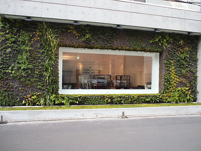 f0010106_216414.jpg