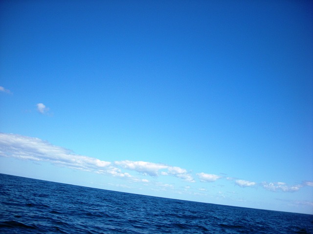 a0000014_22412151.jpg