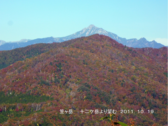 d0170615_1142751.jpg