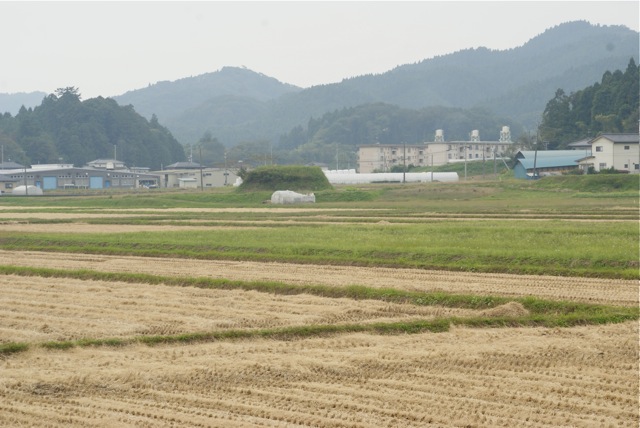 f0143119_141816100.jpg