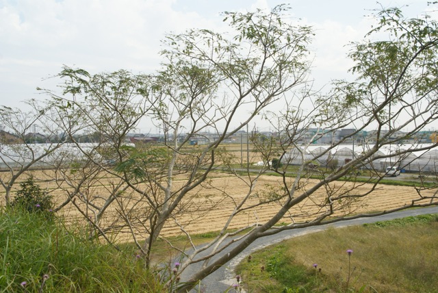 f0143119_14203650.jpg
