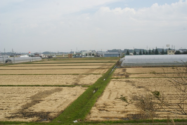 f0143119_1421578.jpg