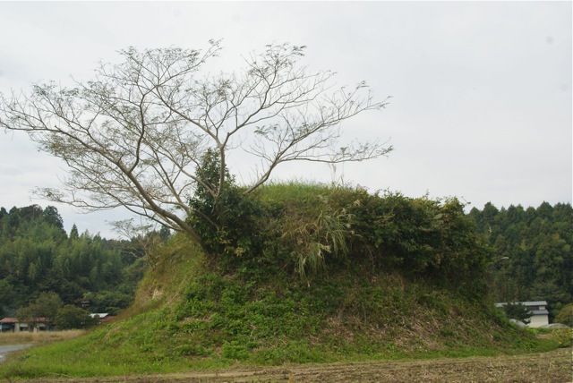 f0143119_14224280.jpg