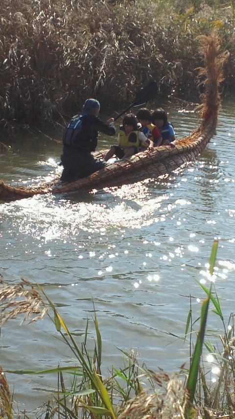 f0100920_852049.jpg