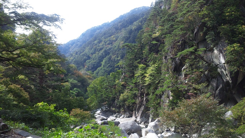 b0199924_17134069.jpg