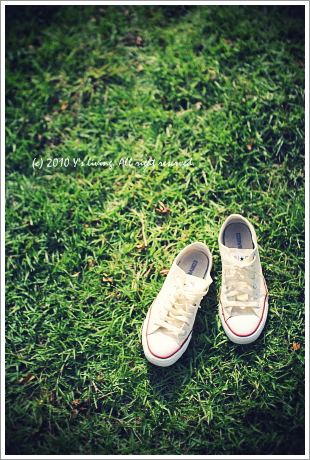 IMG_0752atoy.png