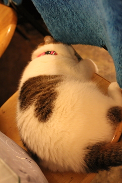 IMG_3150b.jpg