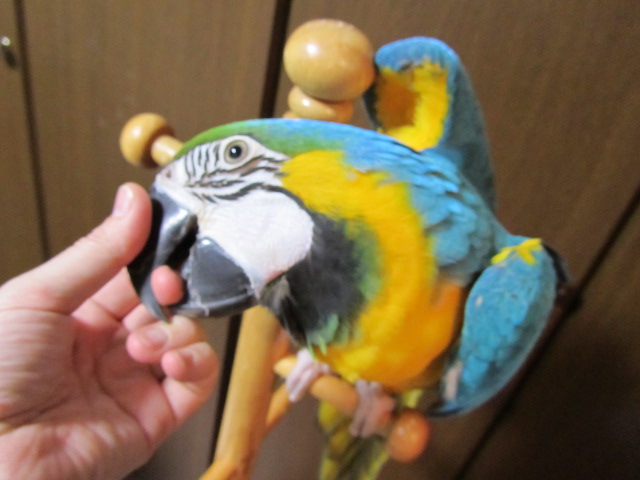e0107730_23455848.jpg