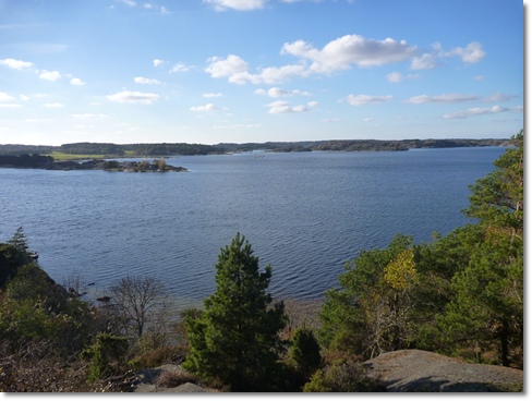d0140133_1757181.jpg