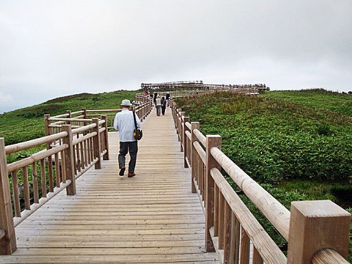 b0012636_20331957.jpg