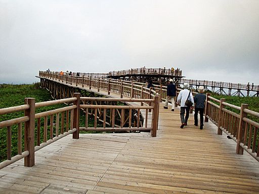 b0012636_20343089.jpg