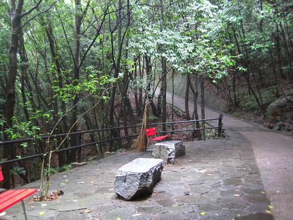 b0149340_1611123.jpg