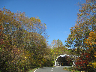 f0065341_0124686.jpg