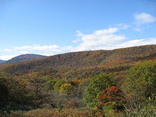 f0065341_013573.jpg