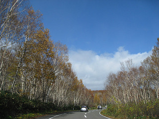 f0065341_015966.jpg