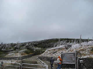 f0065341_0162178.jpg