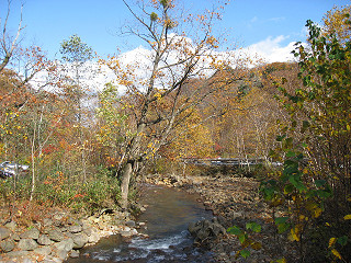f0065341_0185673.jpg
