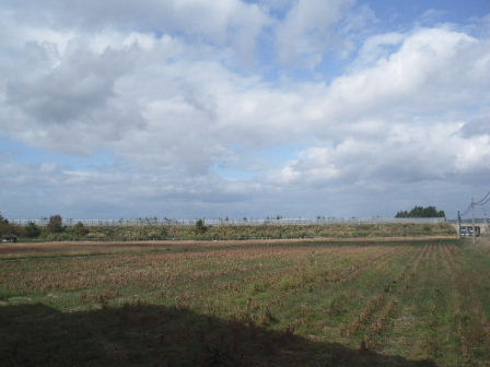 d0154344_10184863.jpg