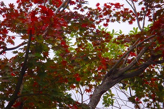 b0200747_22423864.jpg
