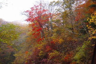 b0200747_2243677.jpg
