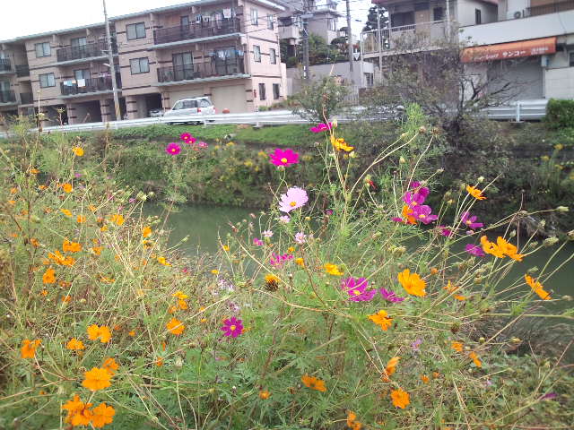 e0034047_1720317.jpg