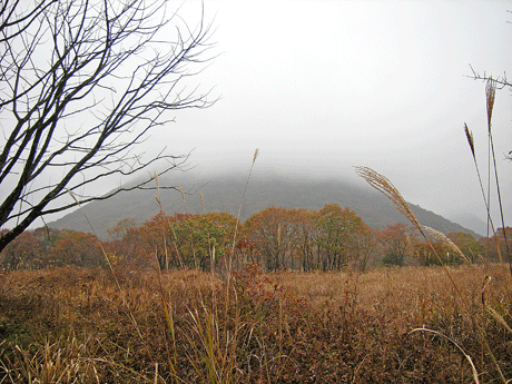 a0001354_22341885.gif