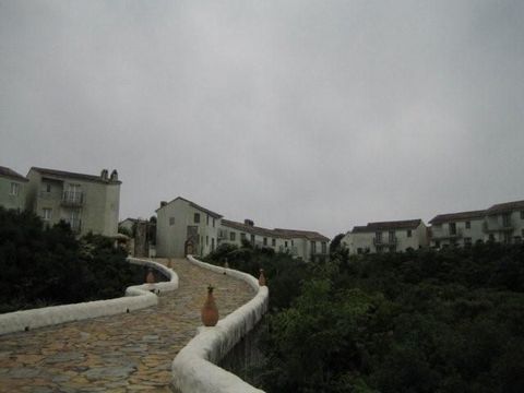 a0081957_2350567.jpg