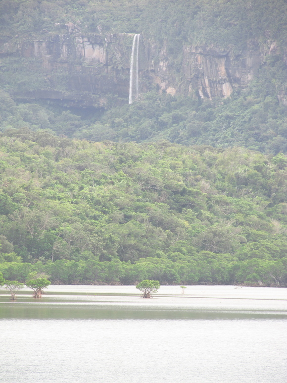 f0201157_15328.jpg