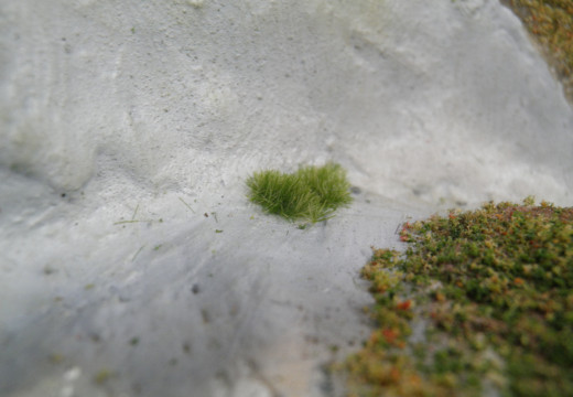 c0222964_232847.jpg