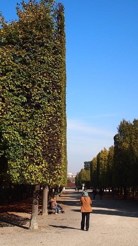 a0141366_17532481.jpg