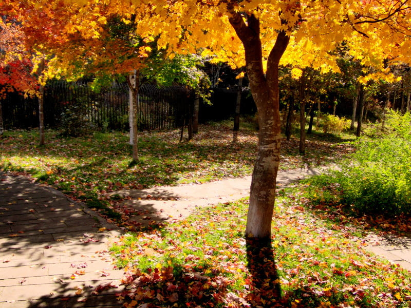 c0026870_12221328.jpg