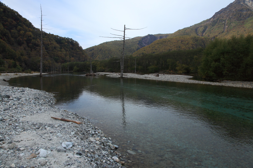 e0096372_512486.jpg