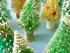 c0063182_926486.jpg