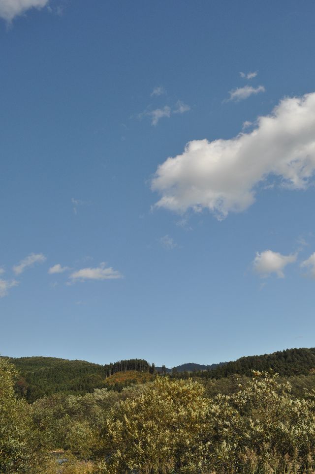 d0164783_1333431.jpg