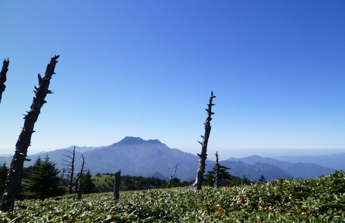 d0179983_1135393.jpg