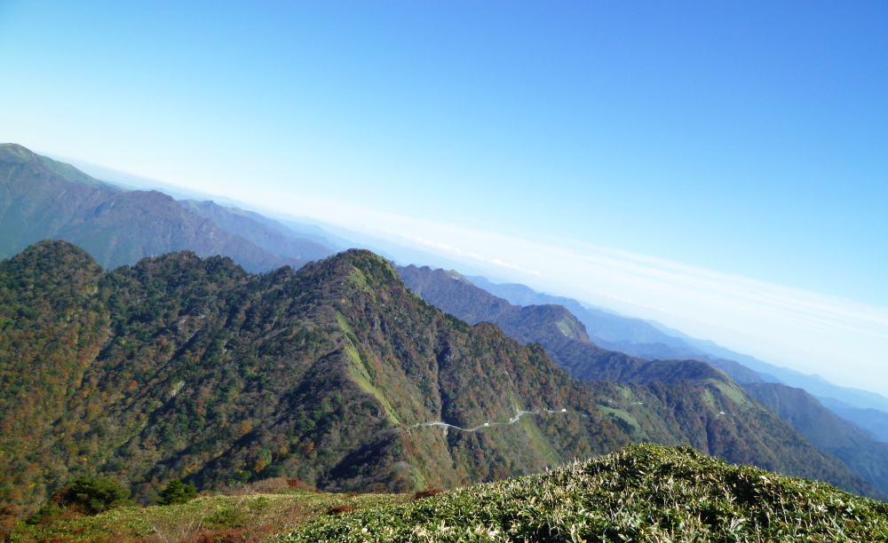 d0179983_1144490.jpg