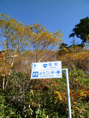 d0179983_115261.jpg