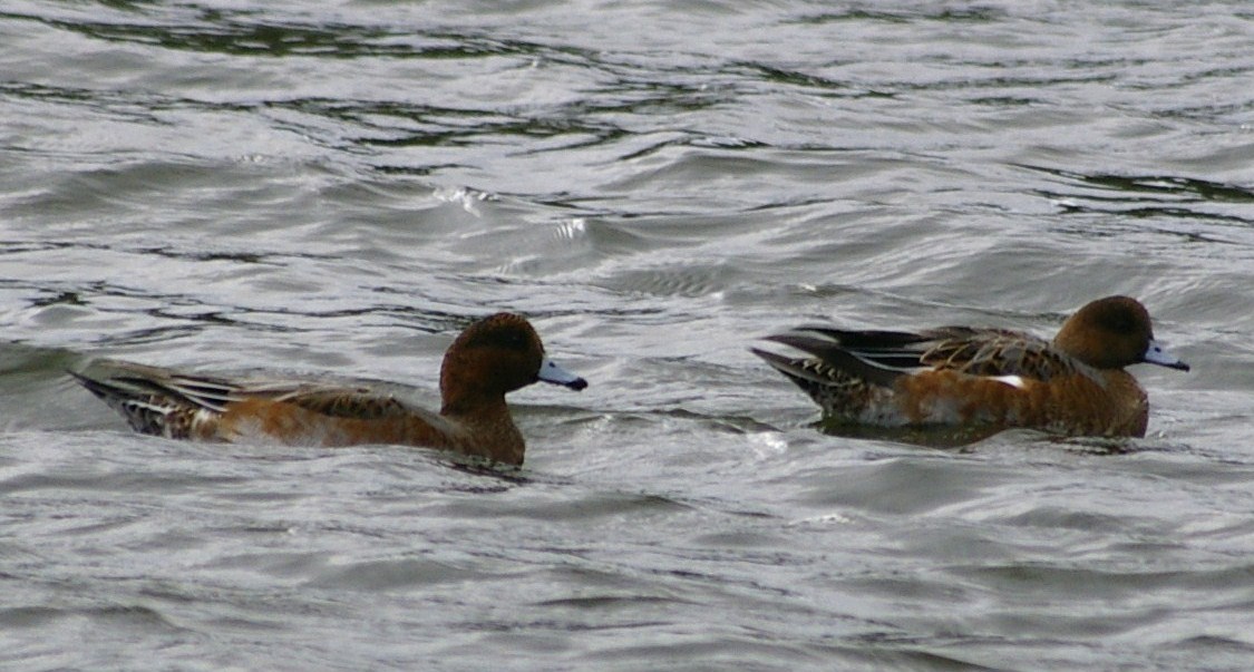 e0197884_23514234.jpg